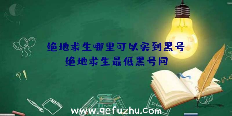 「绝地求生哪里可以买到黑号」|绝地求生最低黑号网